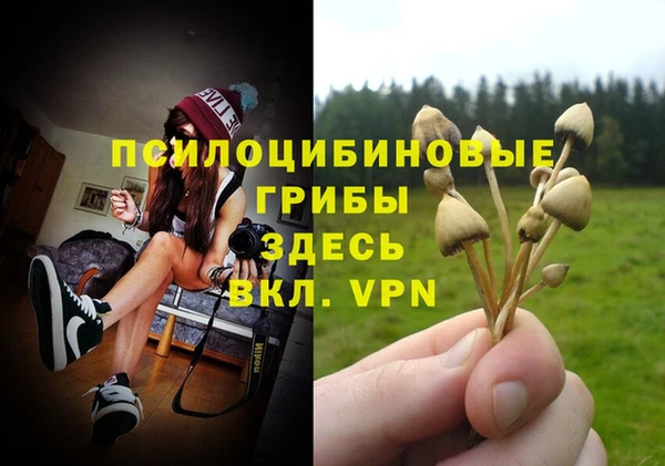 спайс Балабаново