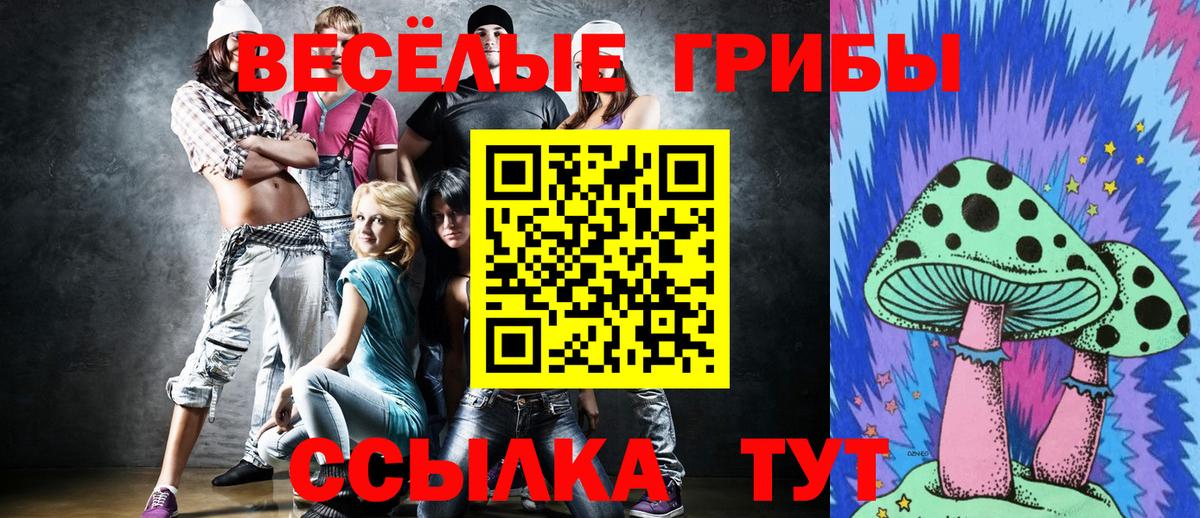 Псилоцибиновые грибы Cubensis Лыткарино
