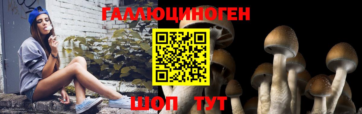Галлюциногенные грибы Magic Shrooms  Вход с VPN  Лыткарино 