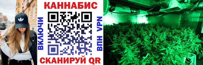 купить закладку Лыткарино Шишки марихуана SATIVA & INDICA